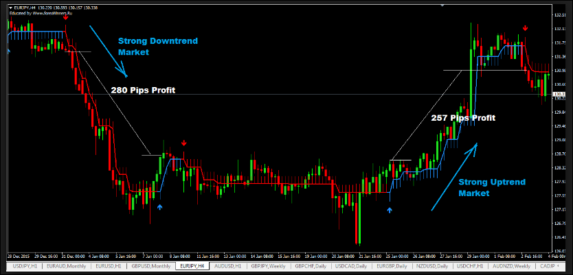 Forex Nrp Arrow Profit